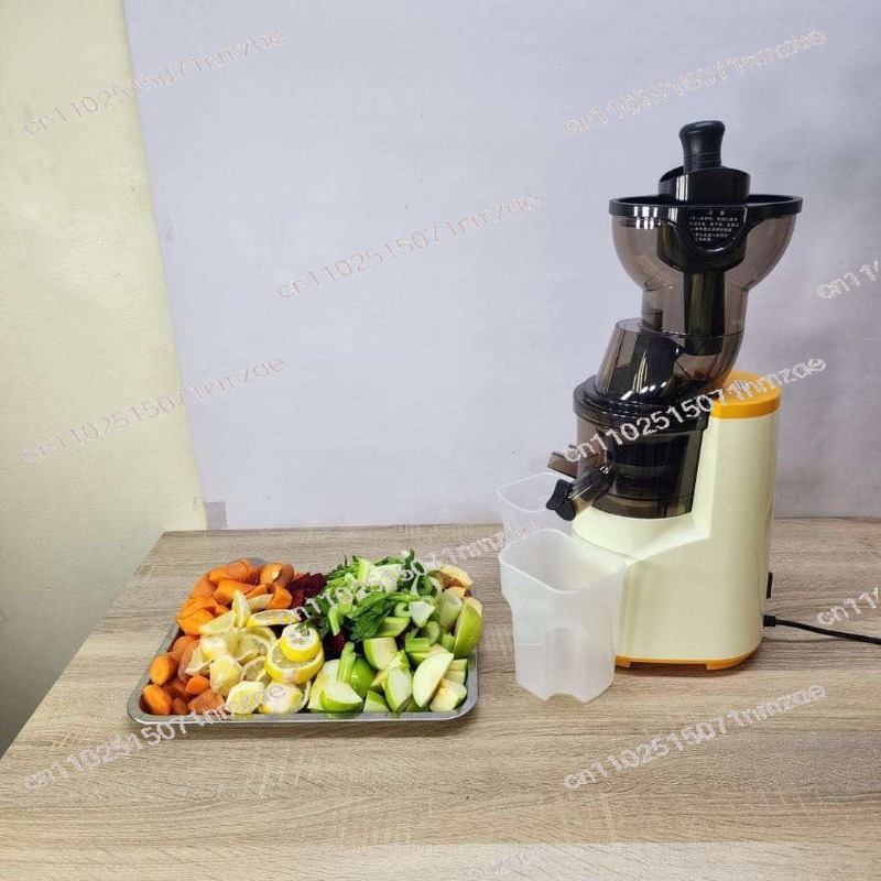 Juicer Cold Press Slow - 76mm 대구경 저속 착즙기 고효율 착즙