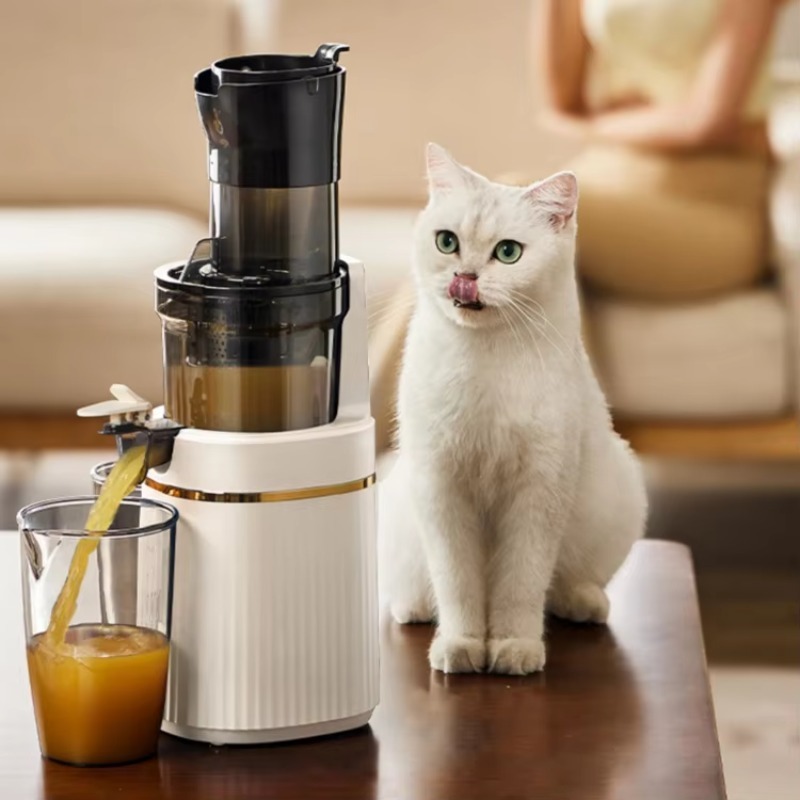 Juicer Cold Press Slow - 저속 압착 콜드프레스 착즙기, 통과일 착즙,