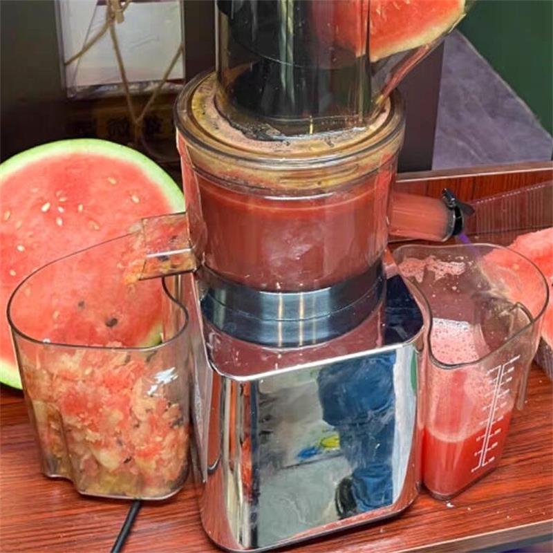 Juicer Cold Press Slow - 500W 상업용 가정용 저속 착즙기 대형