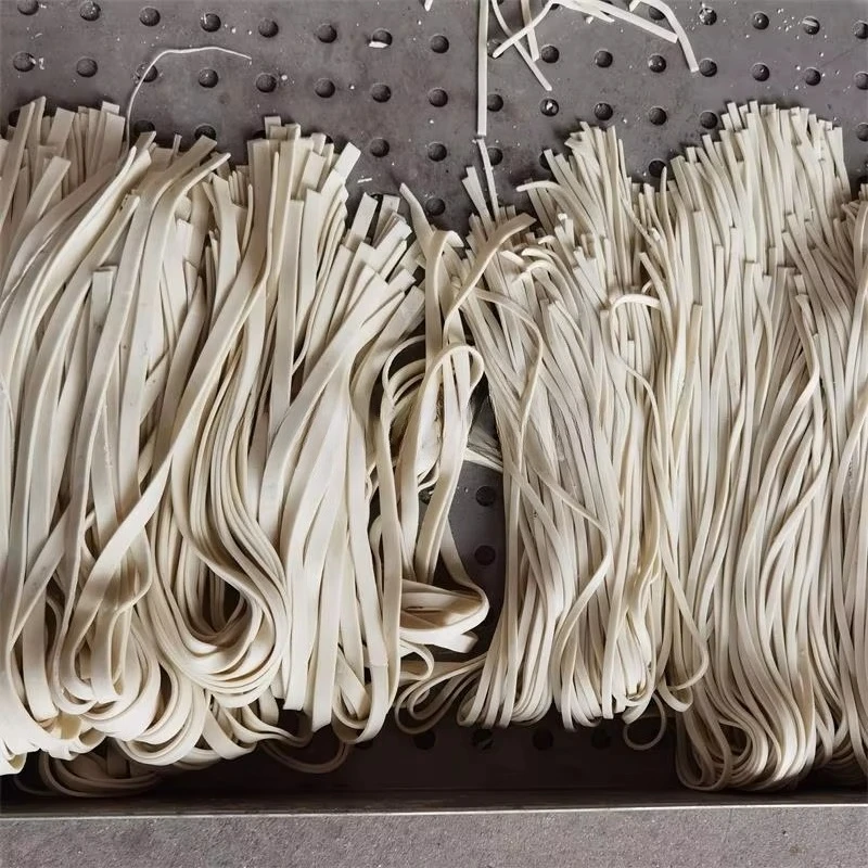 지능형 국수 제조기 파스타 국수 제조기 자동 전기 생쌀 - Pasta Machine Electric 리뷰 및 가격