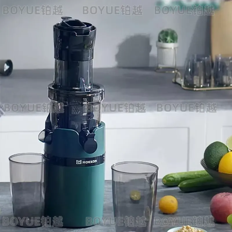 대용량 저속 착즙기 콜드프레스 전기 과일 야채 주스기  - Juicer Cold Press Slow 리뷰 및 가격
