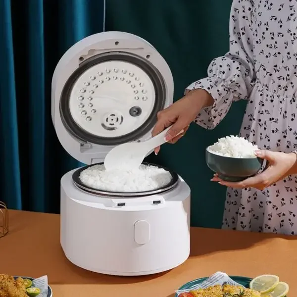 110v 스마트 밥솥 3L 밥솥 미국, 일본, 캐나다로 - Kitchen Appliances Canada 리뷰 및 가격